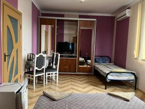 TV a/nebo společenská místnost v ubytování Mini Hotel Leon