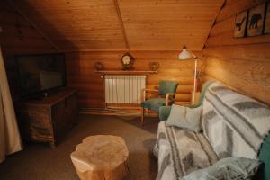 a living room with a couch and a tv in a cabin at Vidal in Tatariv