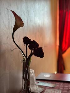 صورة لـ Hotel Il Giardino degli Aranci في نولا
