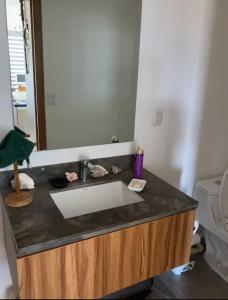 a bathroom counter with a sink and a mirror at Puerto Vallarta Centro de convenciones Aeropuerto in Puerto Vallarta