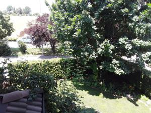 Foto dalla galleria di B&B LA ROSA GIALLA a Maranello