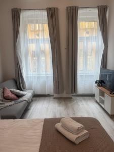 Televiisor ja/või meelelahutuskeskus majutusasutuses Magnet Apartment