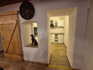 Kuchyň nebo kuchyňský kout v ubytování Apartmá Na palírně