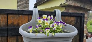 Giardino di Guest House Lotus