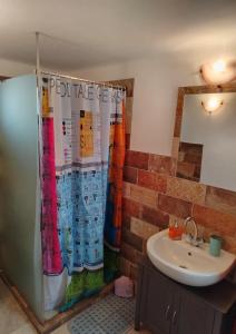 a bathroom with a shower curtain and a sink at Két Puli Vendégház in Békéscsaba