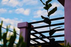 圣胡安Room 12 Sunlit Balcony Stay Near Calle Cerra的相册照片
