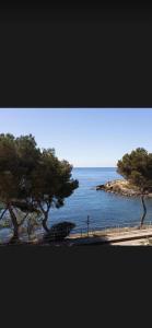 a view of a body of water with two trees at location studio traversant , lit King size,2 terrasses in Sausset-les-Pins