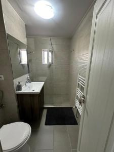 Un baño con inodoro, lavabo y ducha. en Victory Apartament, en Ocna-Mureşului