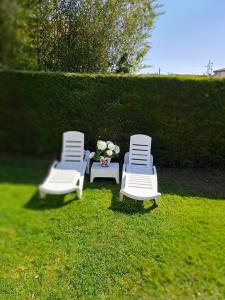 A garden outside Meraki House 92B