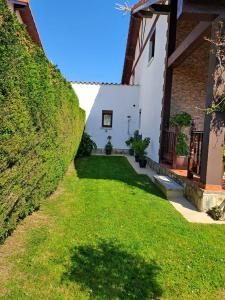 A garden outside Meraki House 92B