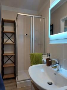 a bathroom with a white sink and a shower at Savor City Appartement Bautzen für 2 Personen direkt im Zentrum in Bautzen