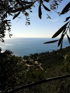 a view of the ocean from a tree at Tra Mare e Luna in Zoagli