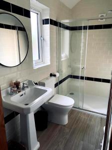 ein Badezimmer mit Waschbecken, Toilette und Dusche in der Unterkunft Roddys cottage three bedroom with hot tub sleeps6 in Magherasaul