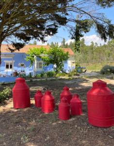 Afbeelding uit fotogalerij van Quintal Alentejano in Zambujeira do Mar