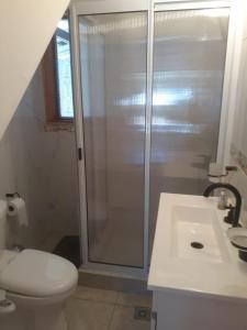 a bathroom with a shower and a toilet and a sink at Lo de Pere in San Carlos de Bariloche +19 photos