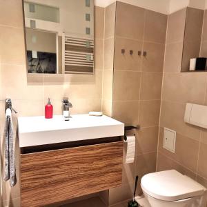 a bathroom with a sink and a toilet at Apartment am Rathaus in Quedlinburg +29 photos