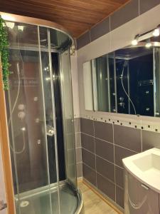 une salle de bain avec douche et lavabo dans l'établissement Maison de Bourg, à Rochefort-Montagne 14 autres photos