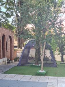a tent next to a tree in a yard at Quarto em Santo Amaro metrô Borba Gato in Sao Paulo