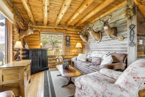Log Cabin with Pond and Trail Access in Almond!的休息区
