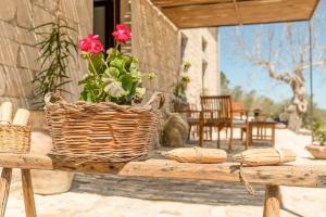 Fotografie z fotogalerie ubytování Dimore del Monte "I Limoni ","L Ulivo " v destinaci Ragusa