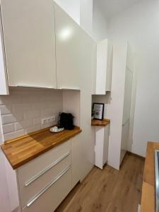 Kuchyňa alebo kuchynka v ubytovaní Premium Malaga Center