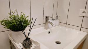 a bathroom sink with a vase with a plant on it at Saulė in Anykščiai +44 photos