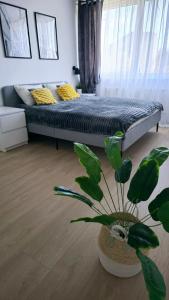 a bedroom with a bed and a potted plant at Saulė in Anykščiai