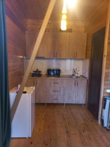 Gallery image of Turo House Meris in Inasharidzeebi +17 photos