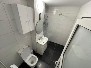 a small bathroom with a toilet and a sink at Apartament Centru Comanesti in Comăneşti +1 photo