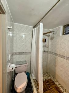 a bathroom with a toilet and a shower at Apartamento en Manizales - Chipre in Manizales