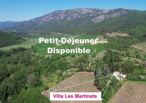 an aerial view of a valley with mountains at Villa Les Martinets-Chambres Climatisées-Parking Privé-Piscine-Jacuzzi-Brise Fraîche de la Montagne in Le Poujol-sur-Orb +65 photos