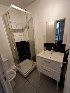 a bathroom with a toilet and a sink and a shower at budgetbnb Larmodieu 1 in Toulon