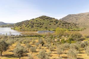 a view of a river with a mountain in the background at Douro Elegance Suites in Torre de Moncorvo