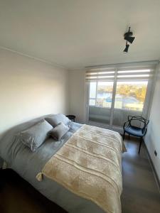 a bedroom with a large bed and a window at Cálido y céntrico dpto, a pasos de Paicavi in Concepción
