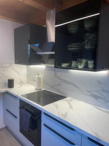 a kitchen with a counter with a sink and a microwave at Inntal Alpin Apartments - Niedere Munde in Telfs