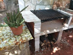 a grill with a potted plant sitting next to a potted plant at Miraflores 1- The greenhouse in Asunción