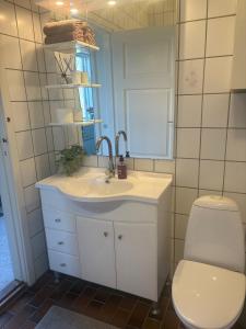 ein Badezimmer mit Waschbecken, Toilette und Spiegel in der Unterkunft Djursland Lystrup Strand Ferieboliger in Allingåbro + 70 Fotos