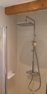 a shower head in a bathroom with a shower at Ferienhaus Fischotter - 300m zum Wattenmeer - All Inklusive in Otterndorf