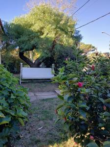 Um jardim no exterior de Piriápolis a 4 cuadras de playa,"Las Hortensias"