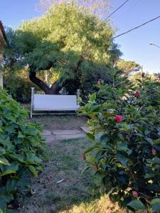 Um jardim no exterior de Piriápolis a 4 cuadras de playa,"Las Hortensias"