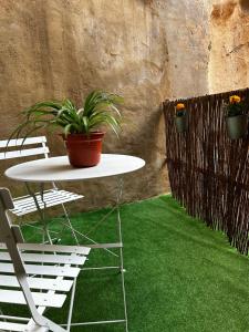 a table and chairs with a plant on top of green grass at Apartamento Casco Histórico Tarazona in Tarazona de Aragón