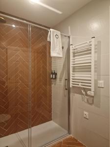 a bathroom with a shower with a glass door at La Posada del Olivar in Baena