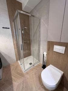 un baño con ducha y WC en Heart of Rzeszów Apartment, en Rzeszów 8 fotos más