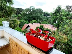 Una jardinera roja en un balcón con una planta. en Studio com churrasq 650m da Torre Panorâmica RME047, en Curitiba 6 fotos más