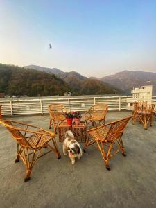 Üldine mäevaade või majutusasutusest Bunk Hostel Rishikesh pildistatud vaade