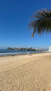 una palma su una spiaggia sabbiosa con l'oceano di Quadra do Mar 2 Quartos Suite Praia do Morro Guarapari a Guarapari