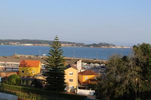 a view of a town with a tree and the water at Precioso apartamento en Boiro, Puerto de Escarabote in Magdalena +1 photo