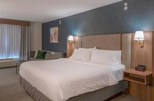 Postel nebo postele na pokoji v ubytování Holiday Inn Hotel and Suites-Kamloops by IHG