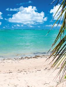 a view of the ocean from the beach at Suítes Ventos e Velas Praia in Pôrto de Pedras