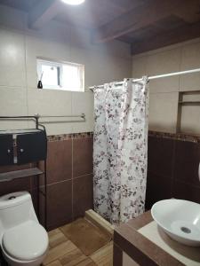 une salle de bain avec toilettes et rideau de douche dans l'établissement Villas del pacífico barra de nexpa, à Caleta de Campos
